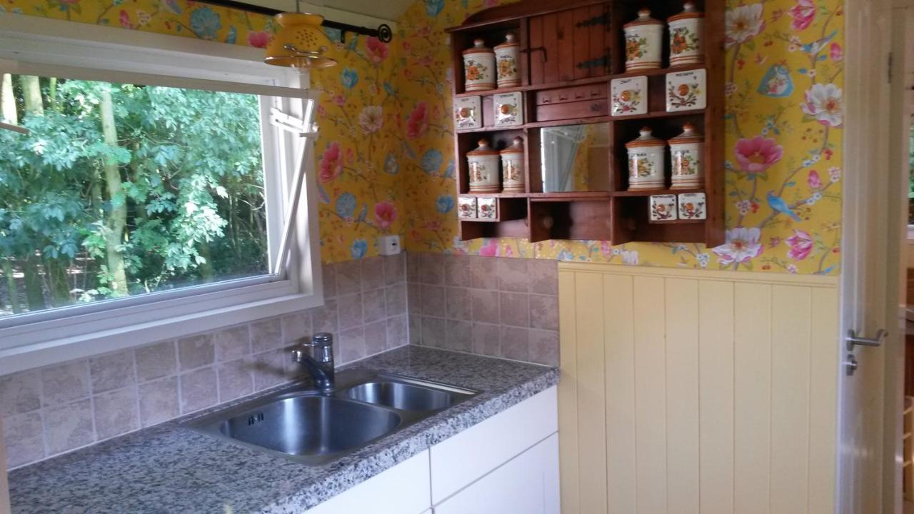 Pipowagen Camping Puur Genieten Bed & Breakfast Someren Eksteriør bilde